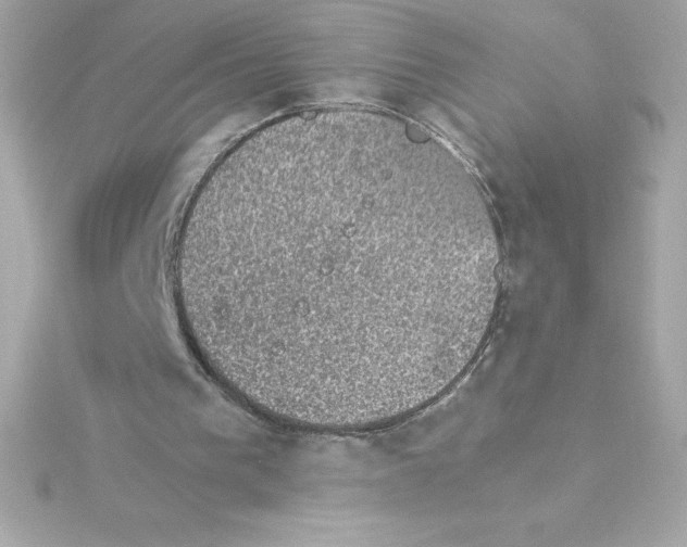 X0000115270193200911271953