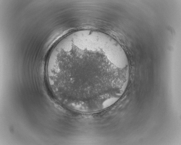 X0000115270194200911271953