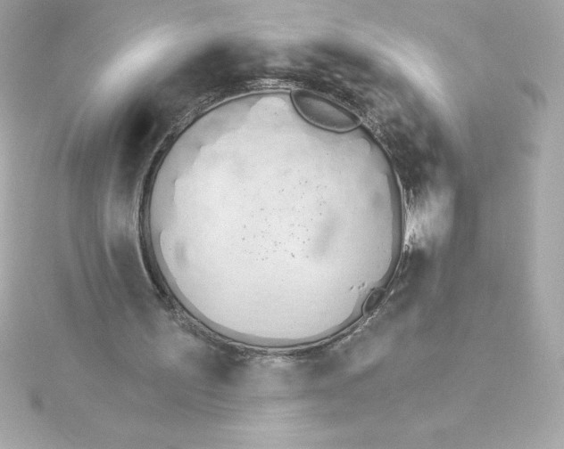 X0000115270195200911271953