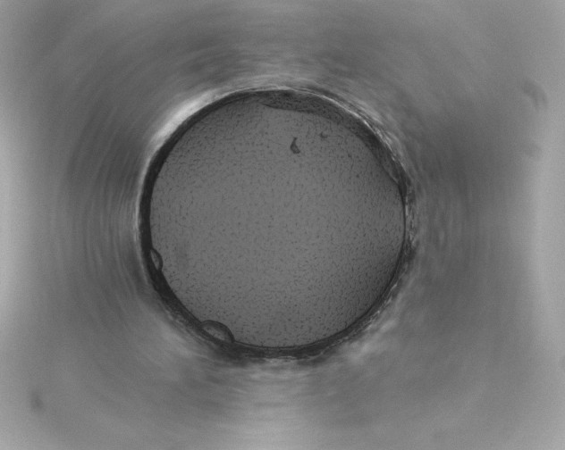 X0000115270196200911271953