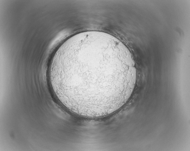 X0000115270197200911271953