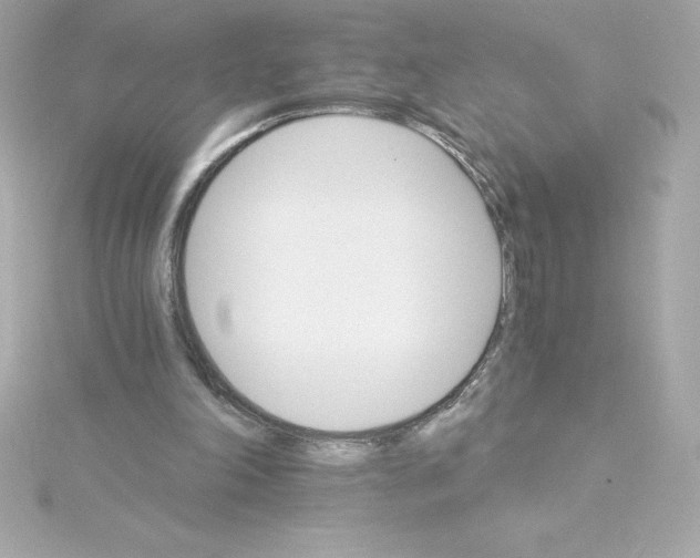 X0000115270198200911271953