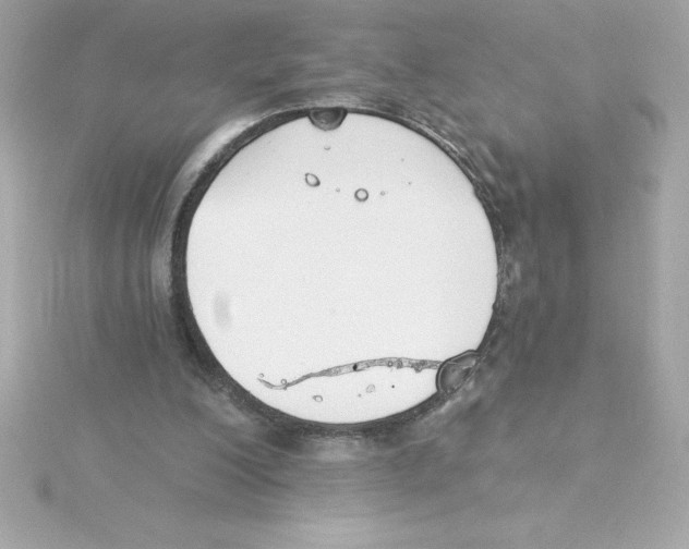 X0000115270200200911271953