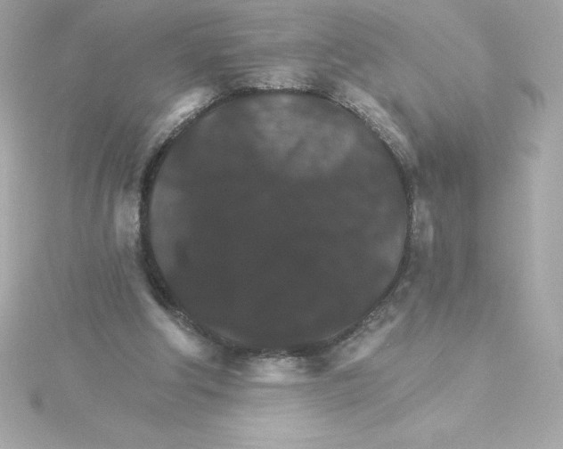 X0000115270202200911271953