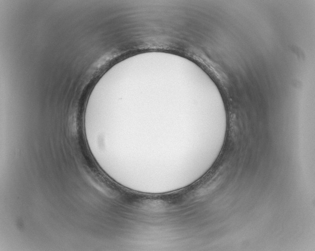 X0000115270203200911271953