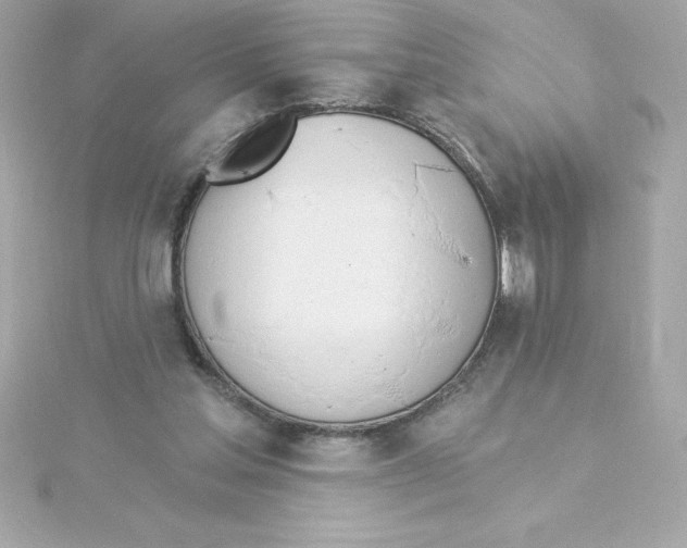 X0000115270205200911271953