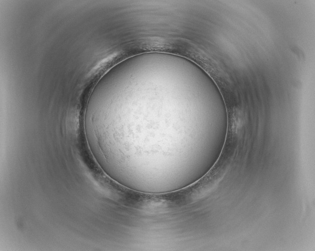 X0000115270206200911271953