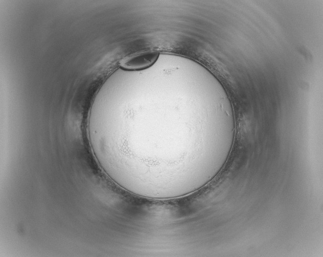 X0000115270209200911271953