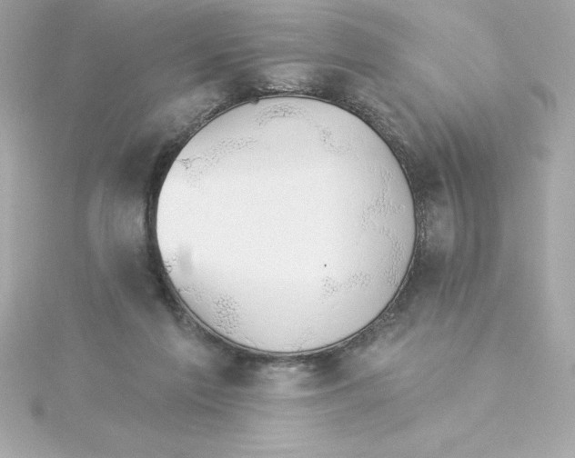 X0000115270213200911271952