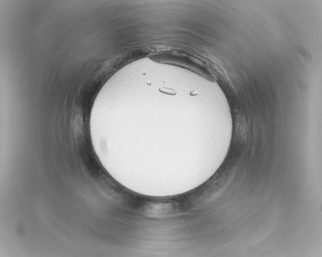 X0000115270220200911271952