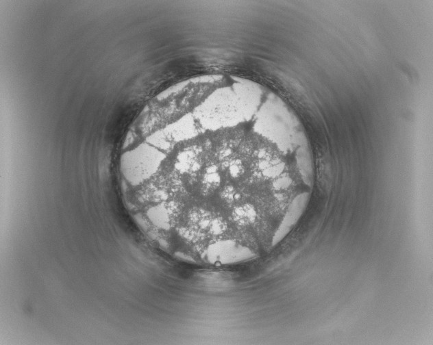 X0000115270221200911271952