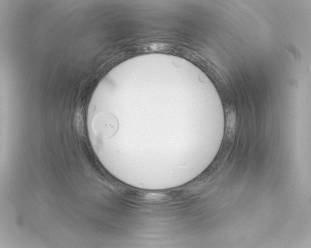 X0000115270222200911271952