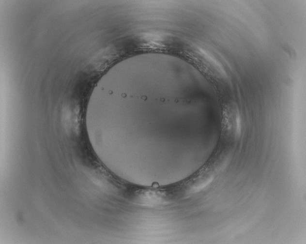 X0000115270223200911271952