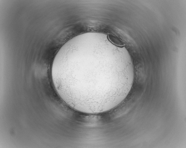 X0000115270225200911271952