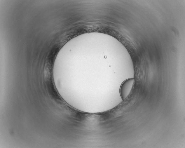 X0000115270226200911271952