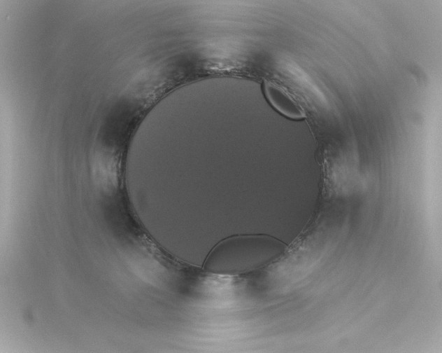 X0000115270227200911271952