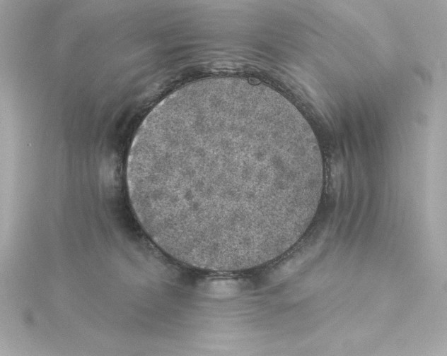 X0000115270228200911271952