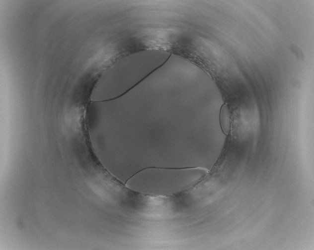 X0000115270229200911271952