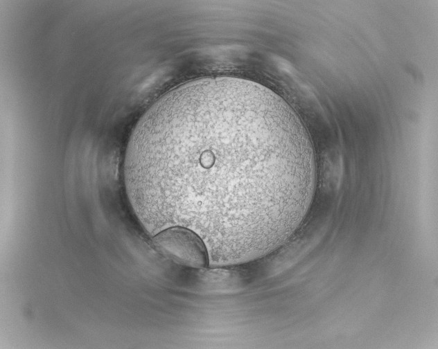 X0000115270230200911271952