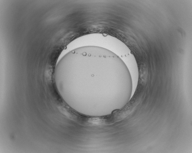 X0000115270231200911271952