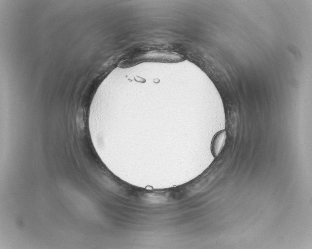 X0000115270232200911271952