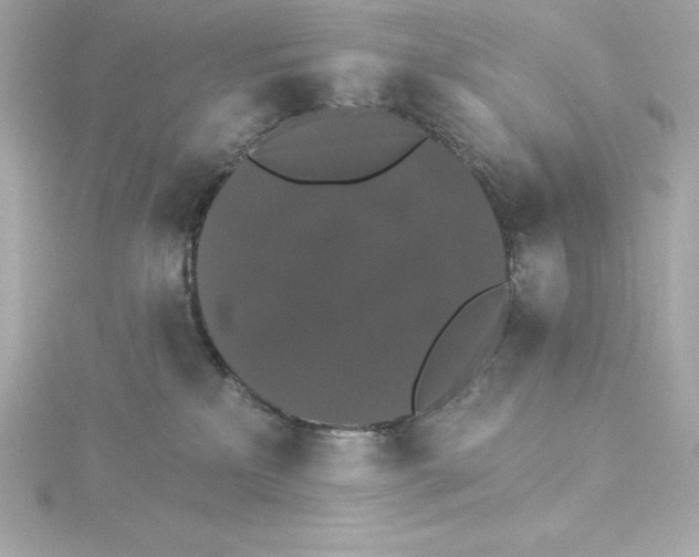 X0000115270233200911271952