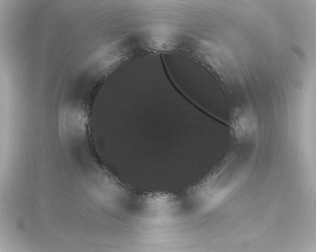 X0000115270235200911271952