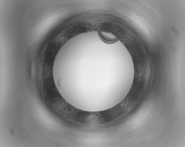 X0000115270236200911271952