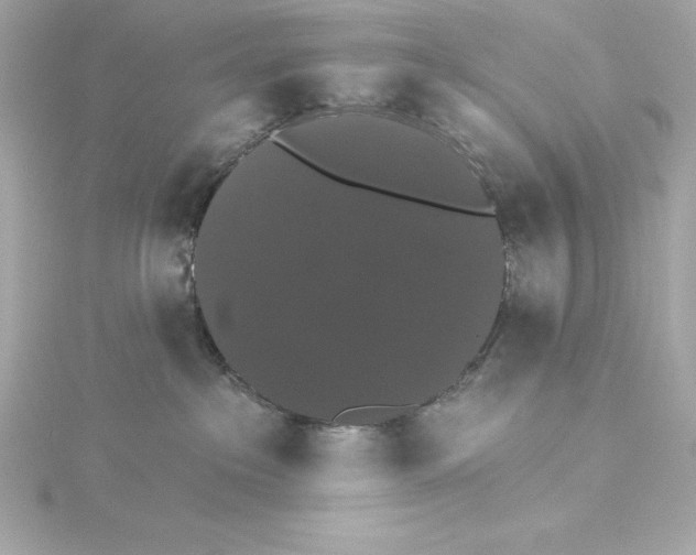 X0000115270237200911271952