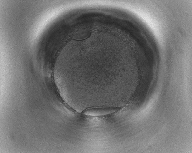 X0000115270239200911271952