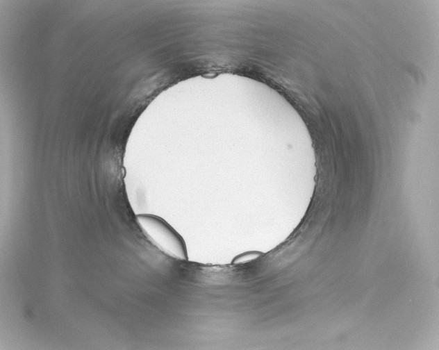 X0000115270240200911271952