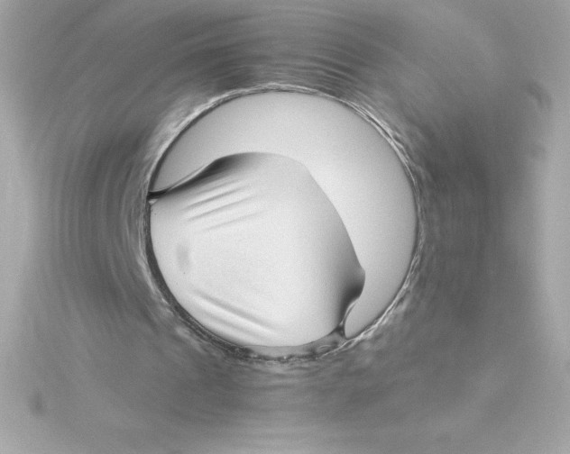 X0000115270241200911271951