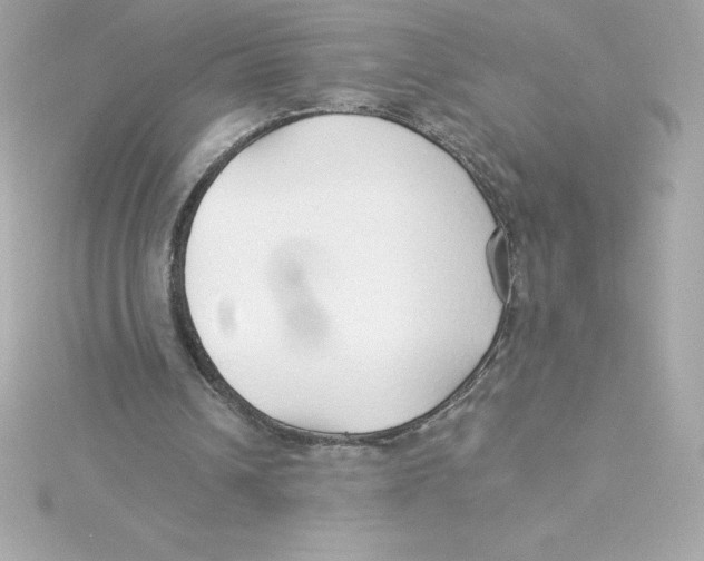 X0000115270242200911271951