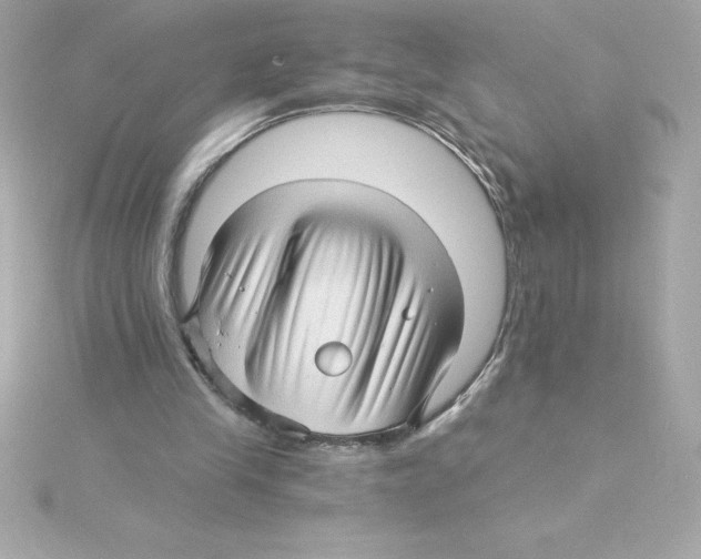 X0000115270245200911271951