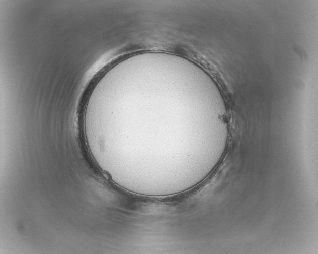 X0000115270246200911271951