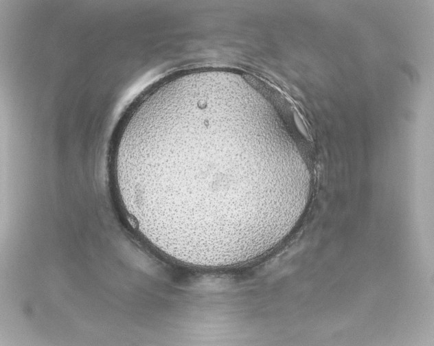 X0000115270248200911271951