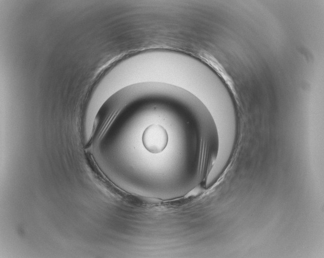 X0000115270249200911271951