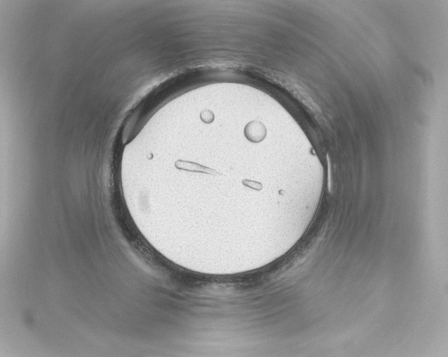 X0000115270252200911271951