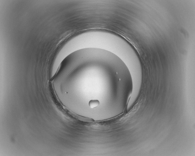 X0000115270253200911271951