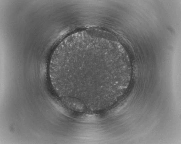 X0000115270260200911271952