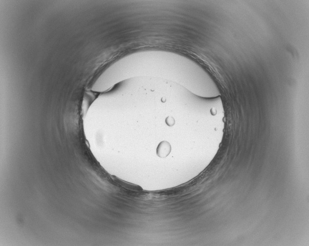 X0000115270261200911271952