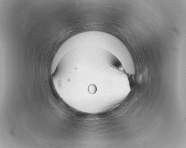 X0000115270263200911271952