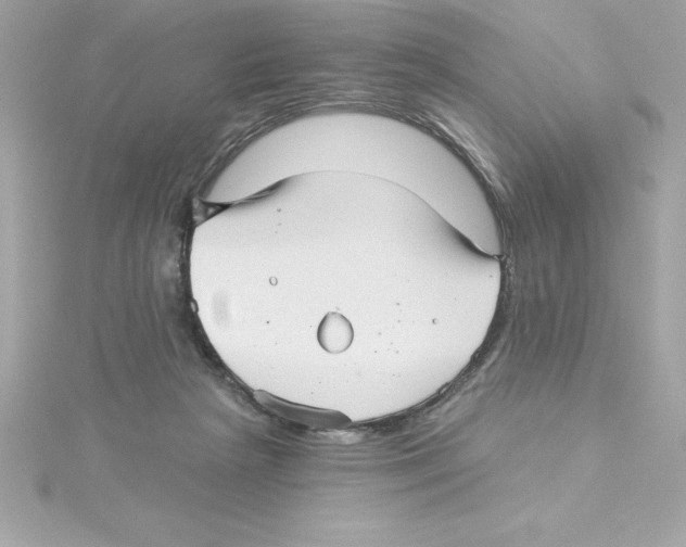 X0000115270265200911271952