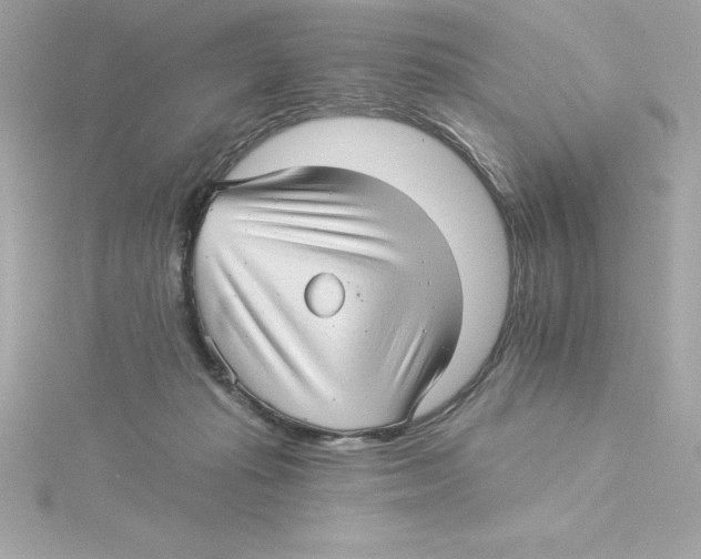 X0000115270269200911271952