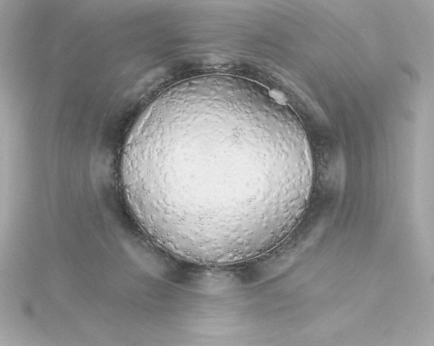 X0000115270270200911271952