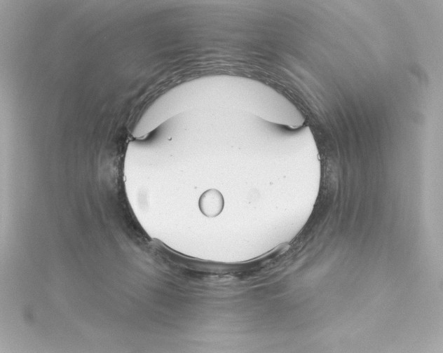 X0000115270271200911271952