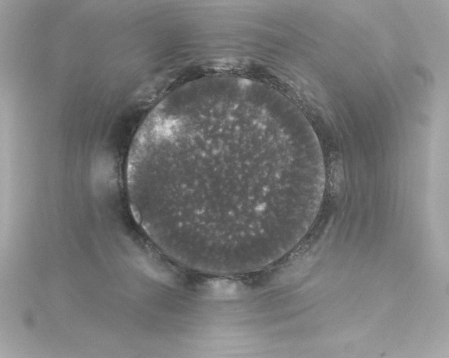 X0000115270272200911271952