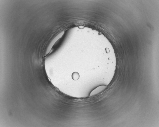 X0000115270273200911271952