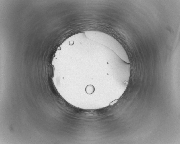 X0000115270275200911271952