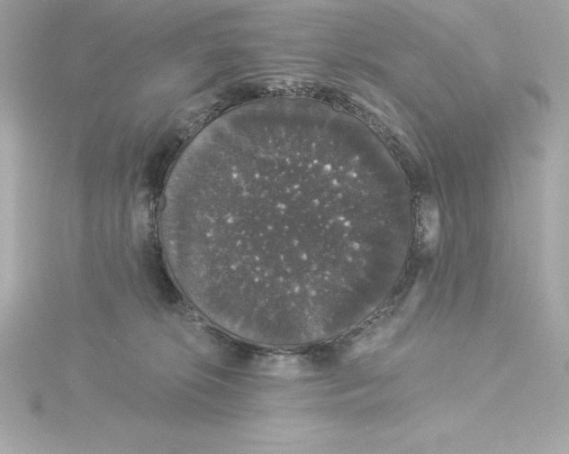 X0000115270276200911271952